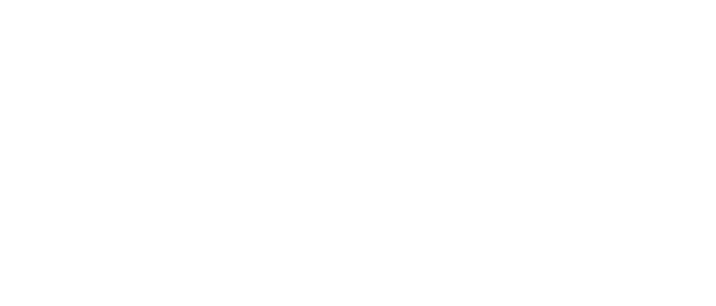 www.nicolienfiere.com